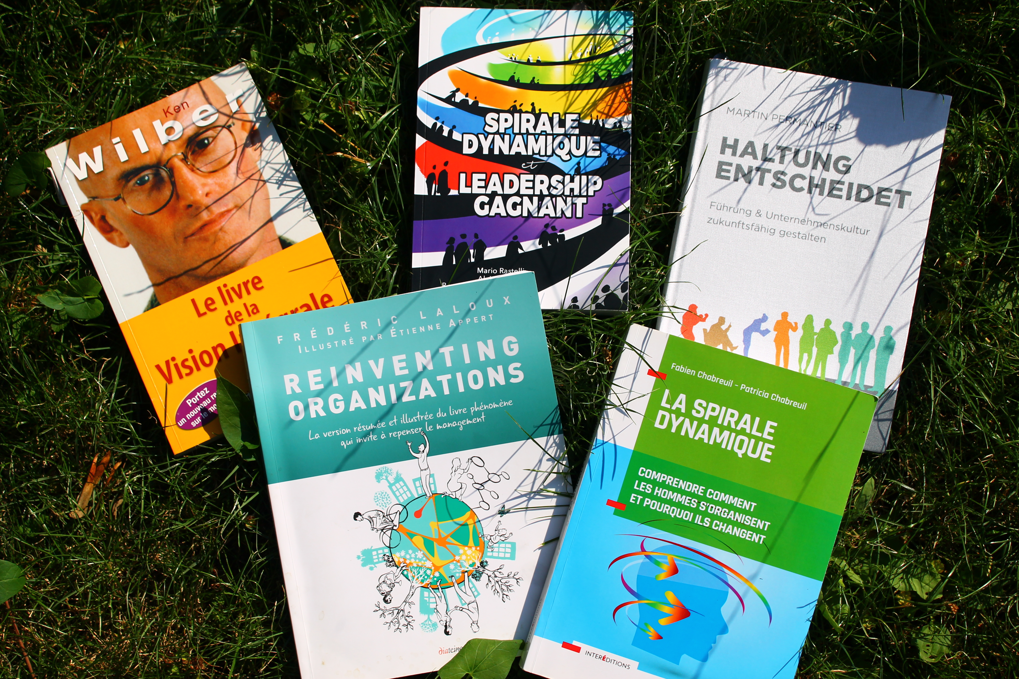 Livres qui traitent de la spirale dynamique